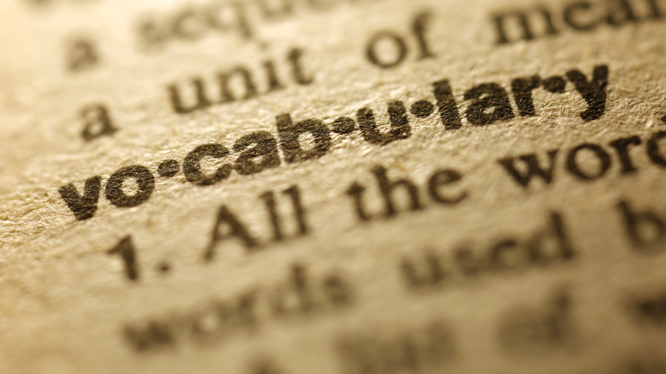 A close-up of the word vocabulary in a dictionary